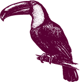Tukan
