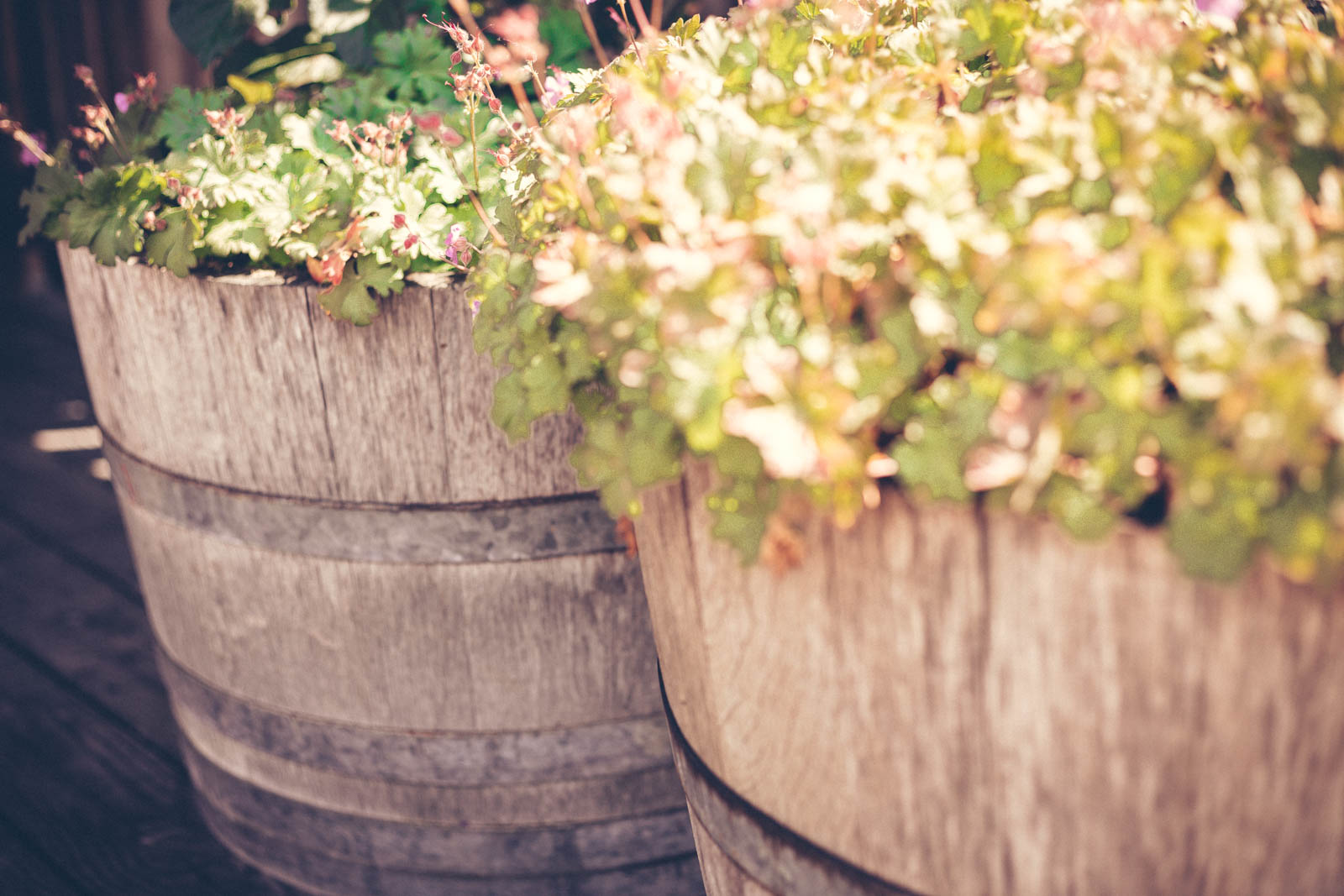 Alte Holz-Pflanzkübel mit Blumen