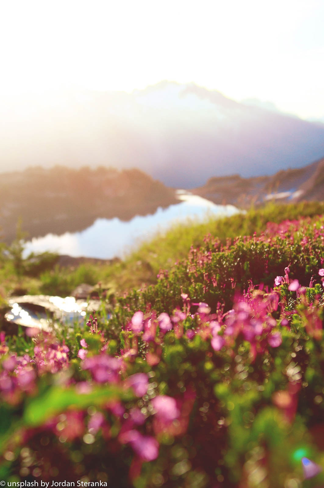 Sonne, Berge, ein Fluss und eine schöne Blumenwiese